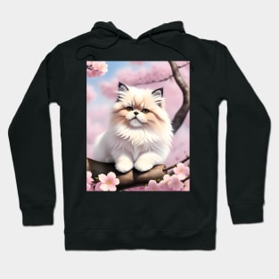 Persian cat in a cherry blossom tree - Modern digital art Hoodie